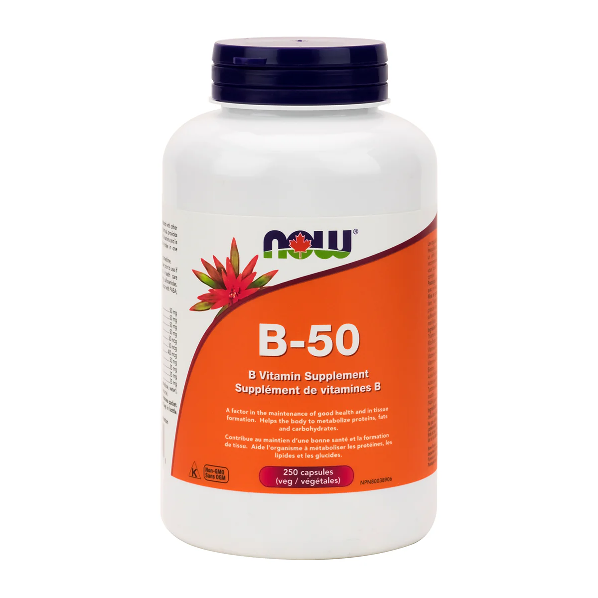 B50 Complex