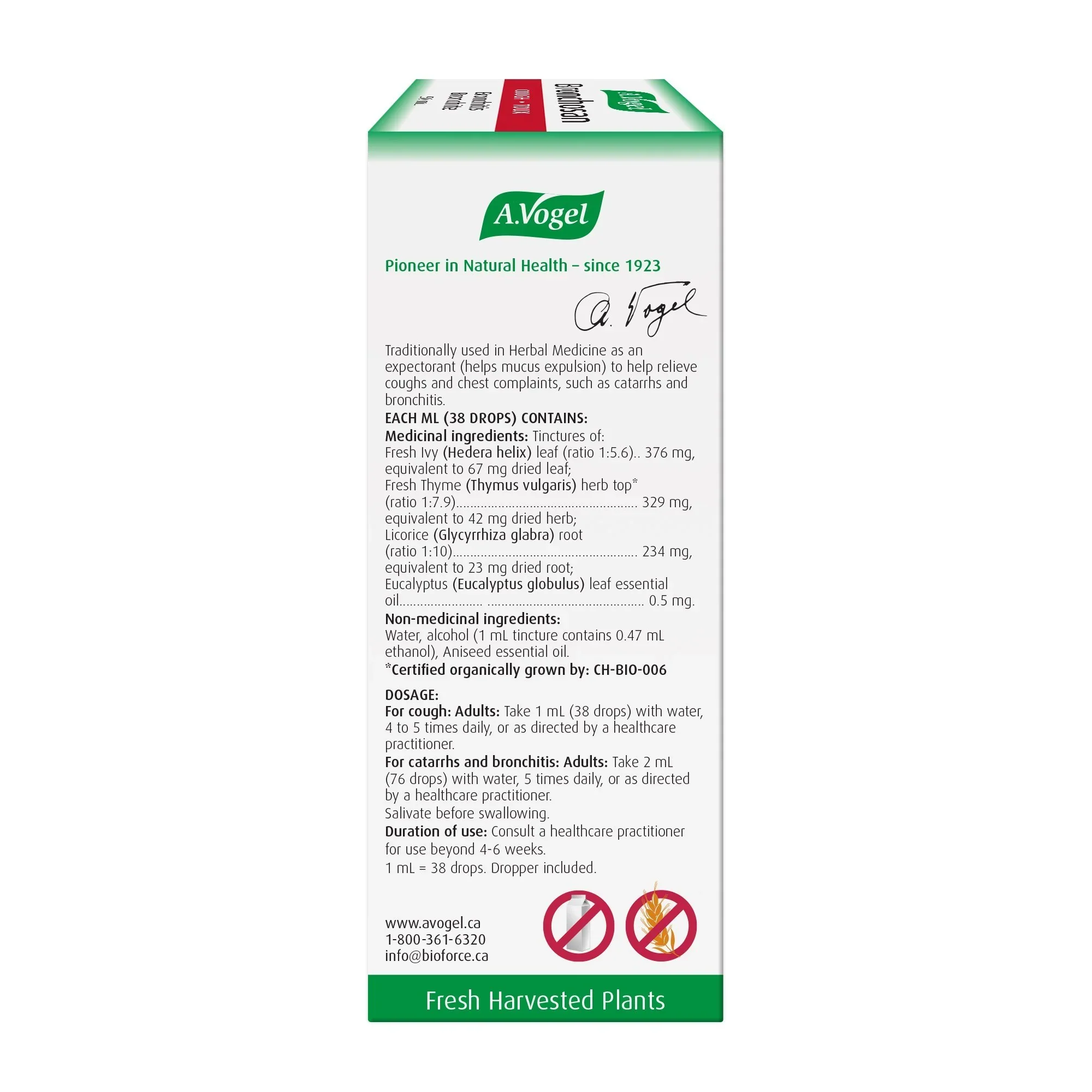 Bronchosan Cough - Image 2