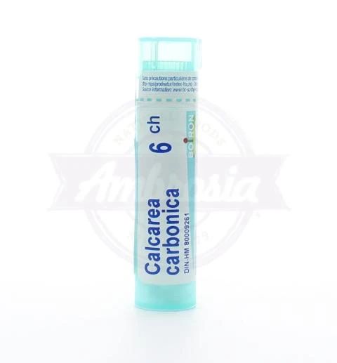 Calcarea Carbonica 6Ch