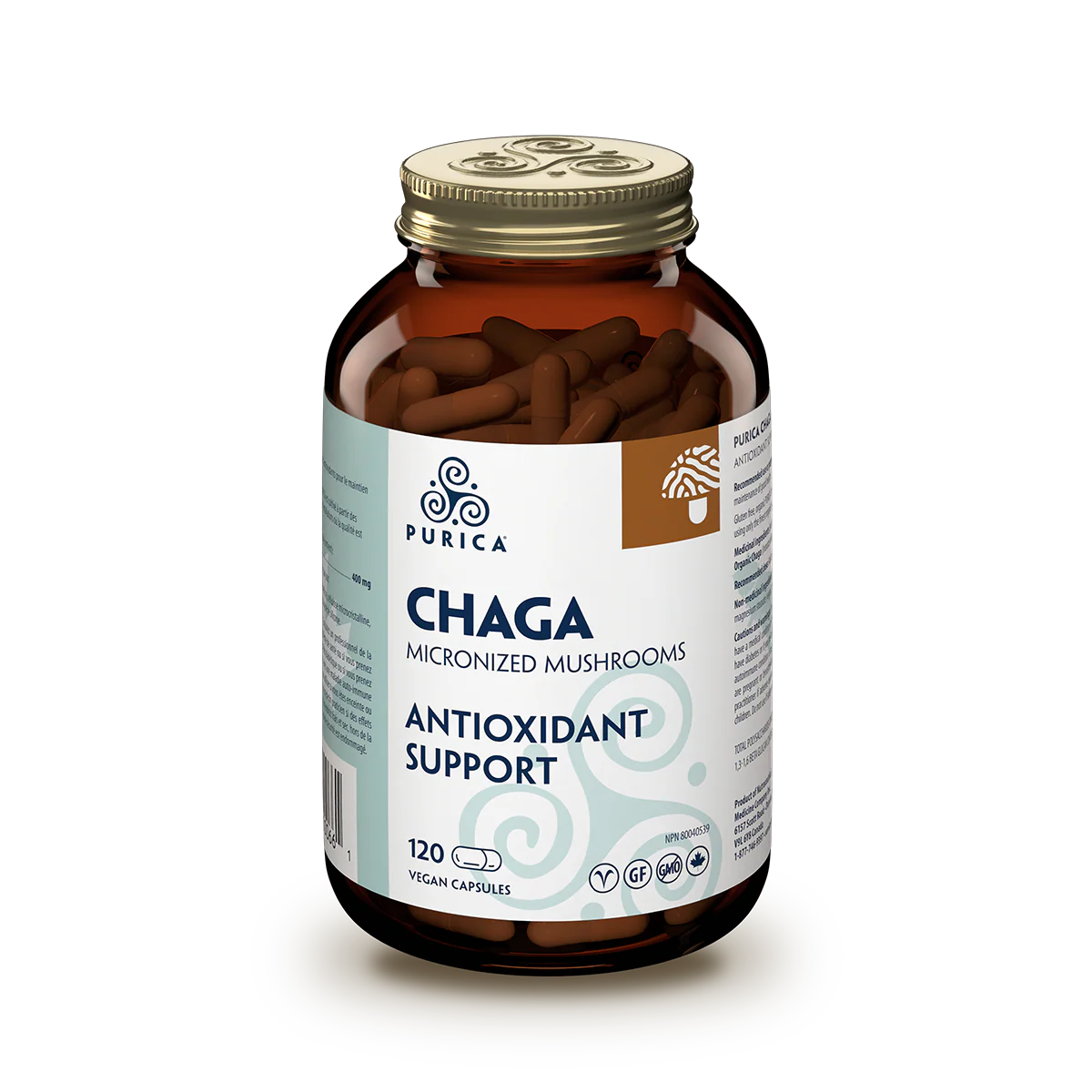 Chaga