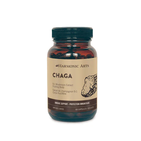 Chaga
