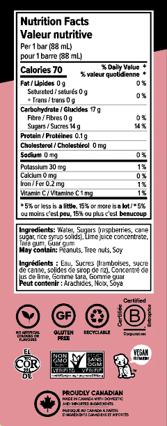 Dairy Free Raspberry Lime Sorbetto Bars - Image 2