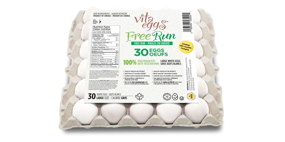 Free Run Large Eggs