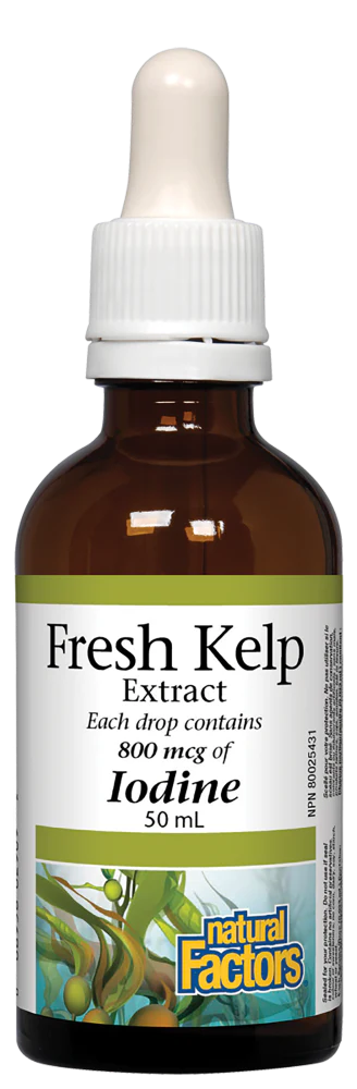 Fresh Kelp Extract