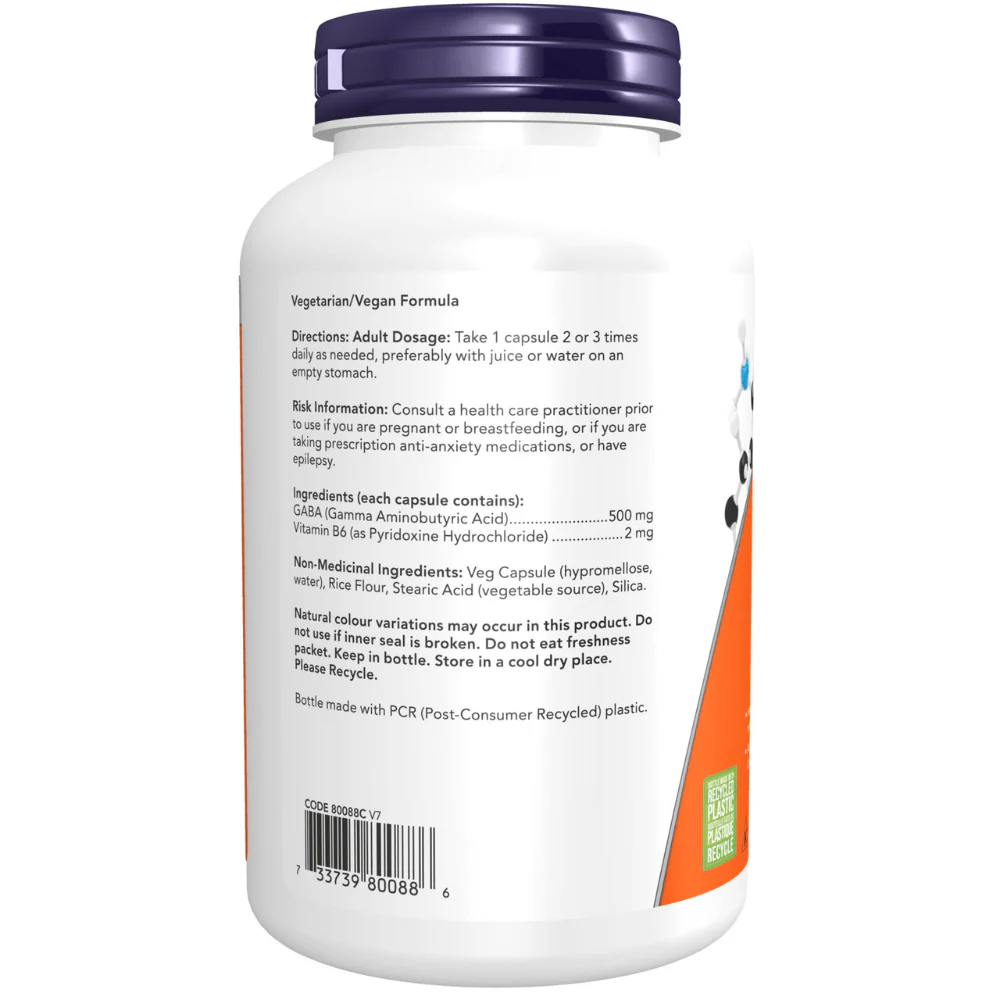 Gaba + B6 - 500mg - Image 3