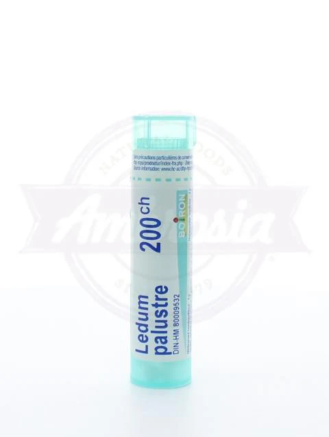Ledum Palustre 200Ch