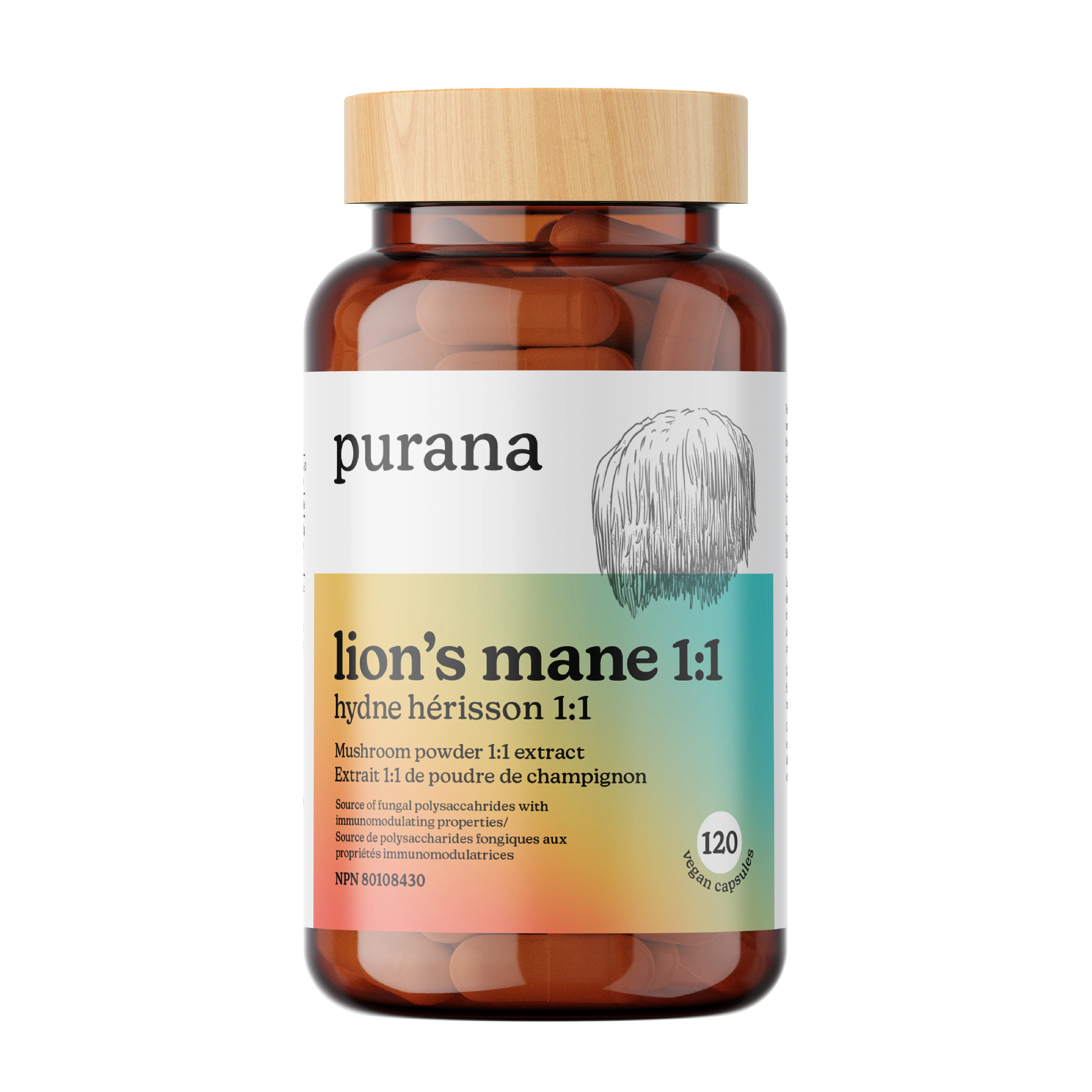 Lion's Mane 1:1 Extract