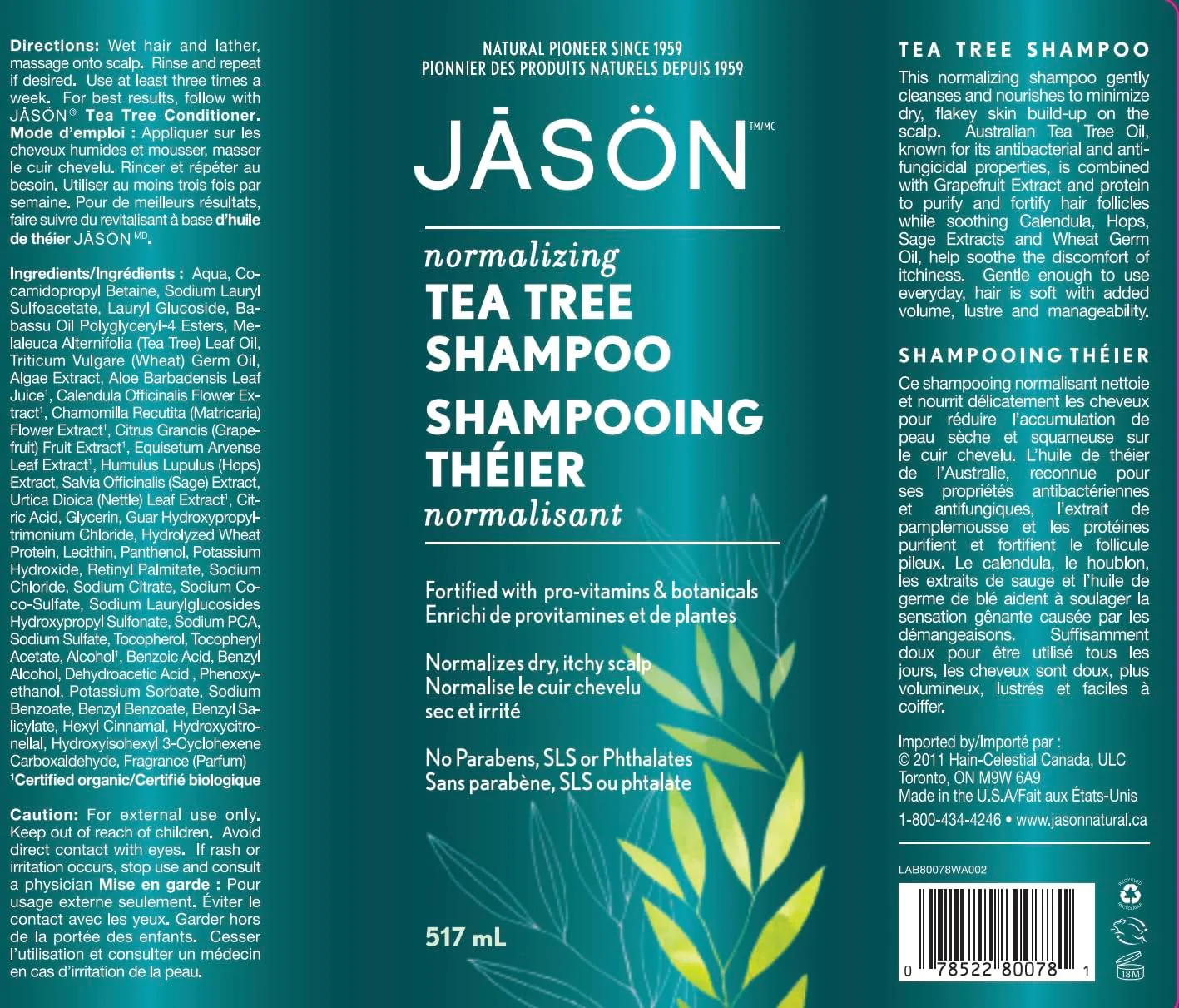 Normalizing Tea Tree Shampoo - Image 3