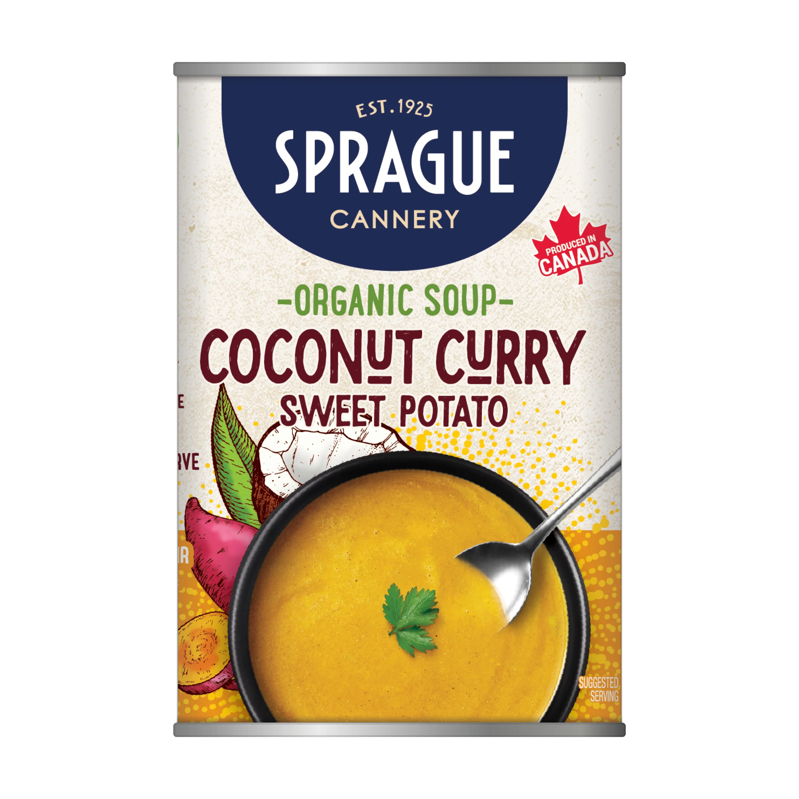 Organic Coconut Curry Soup