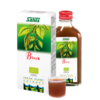 Organic Birch Juice