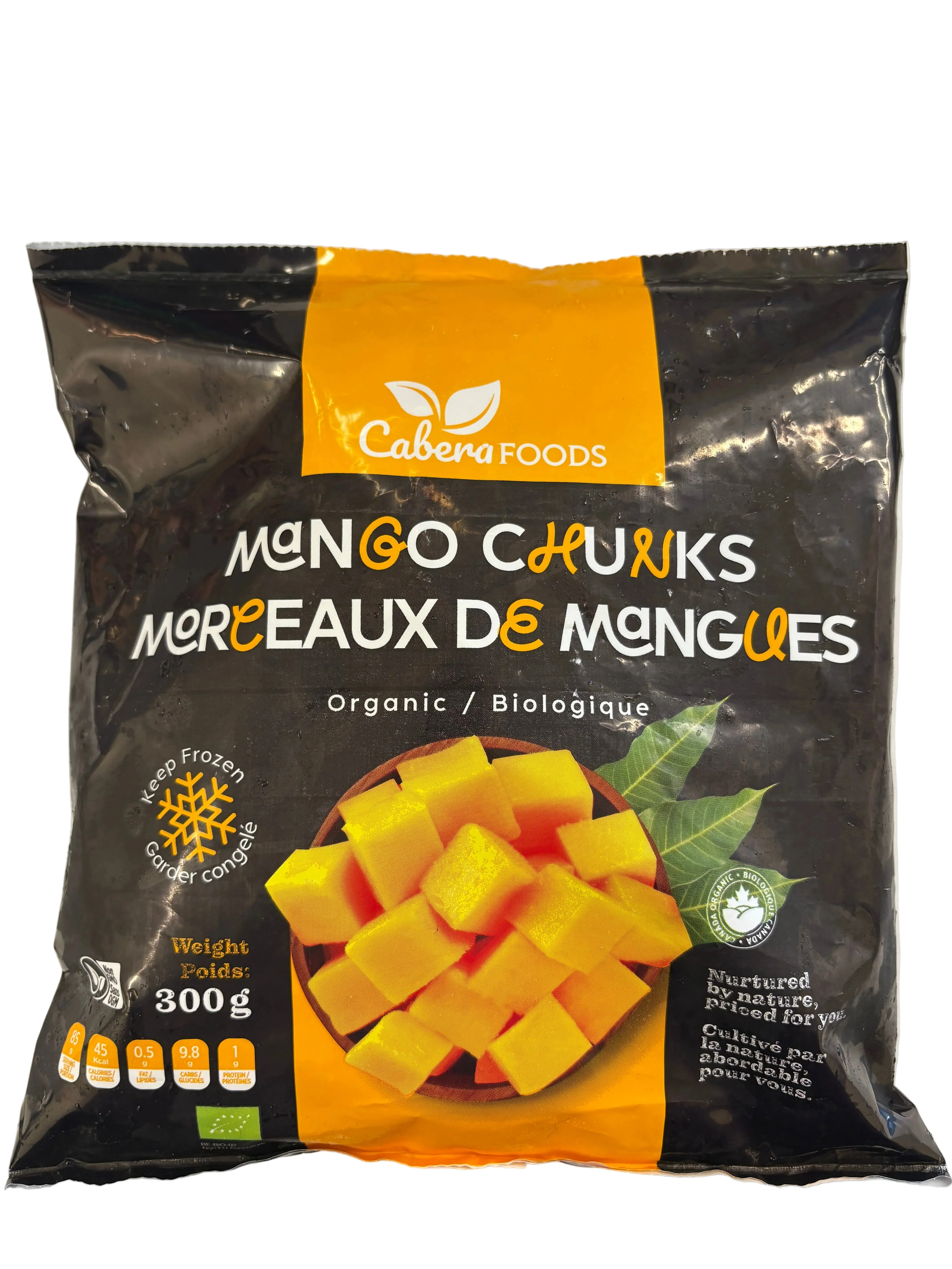 Organic Mango Chunks