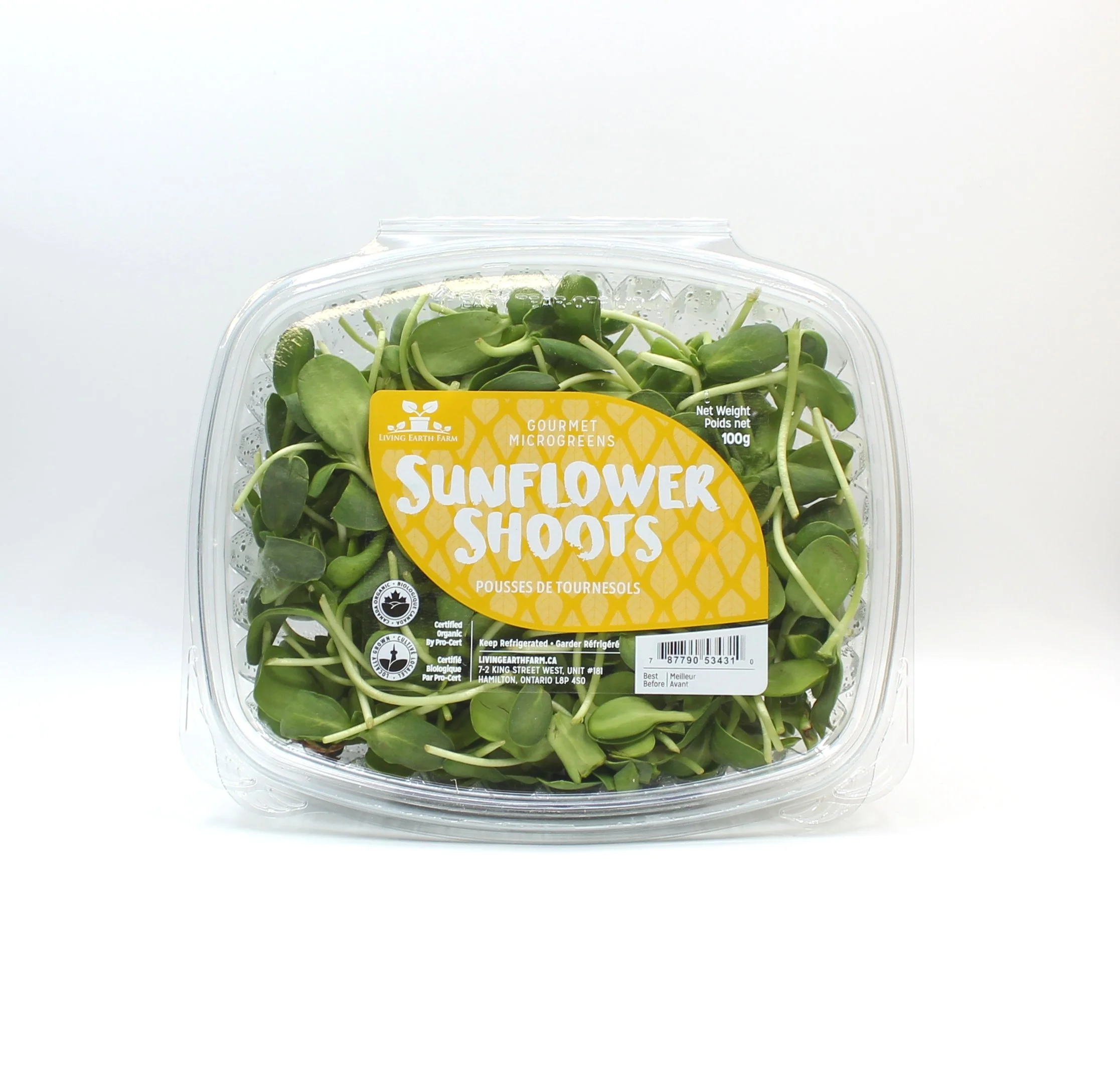 Organic Sunflower Shoots