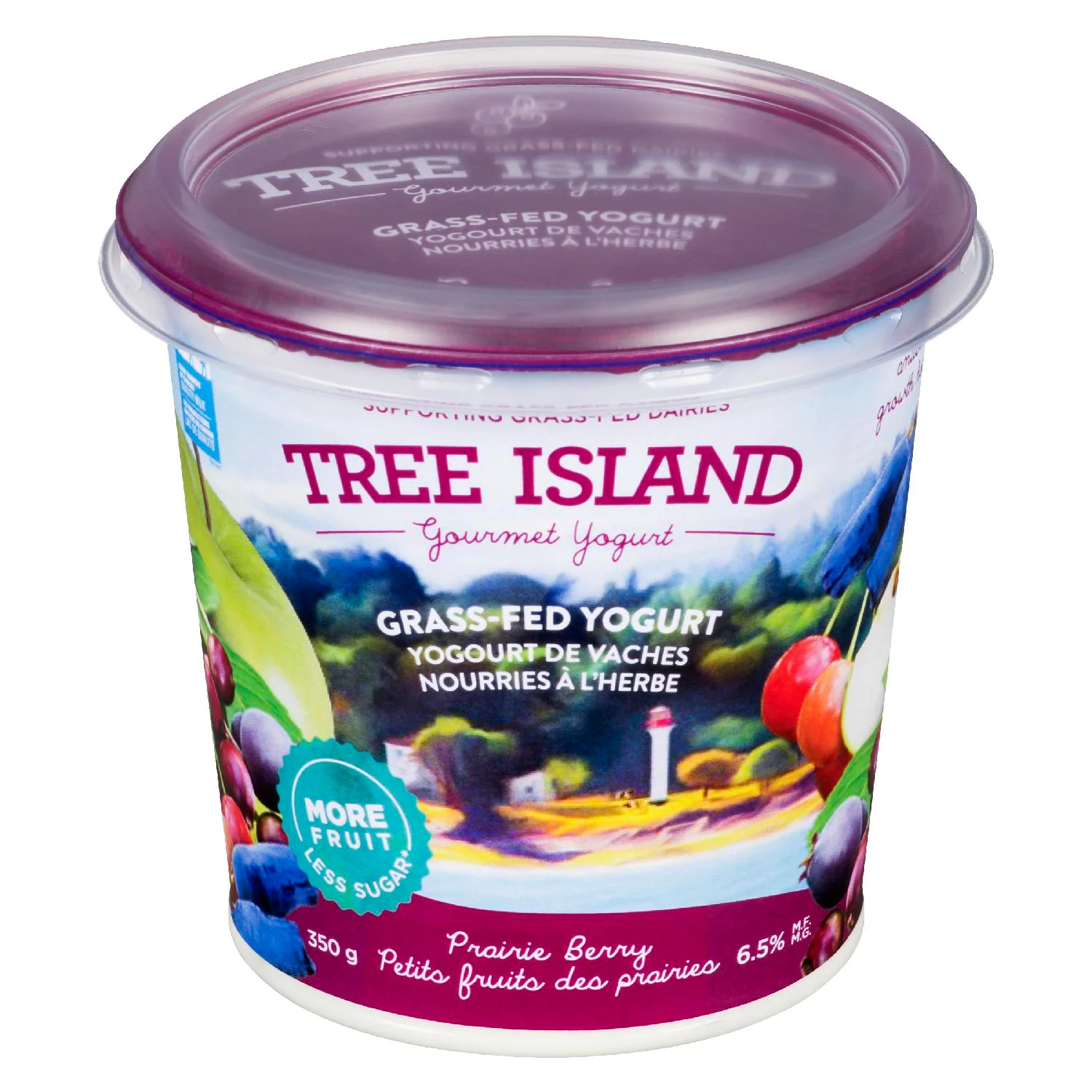 Prairie Berry Grass Fed Yogurt