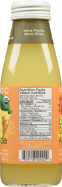 Fiery Ginger Lemonade - Image 2