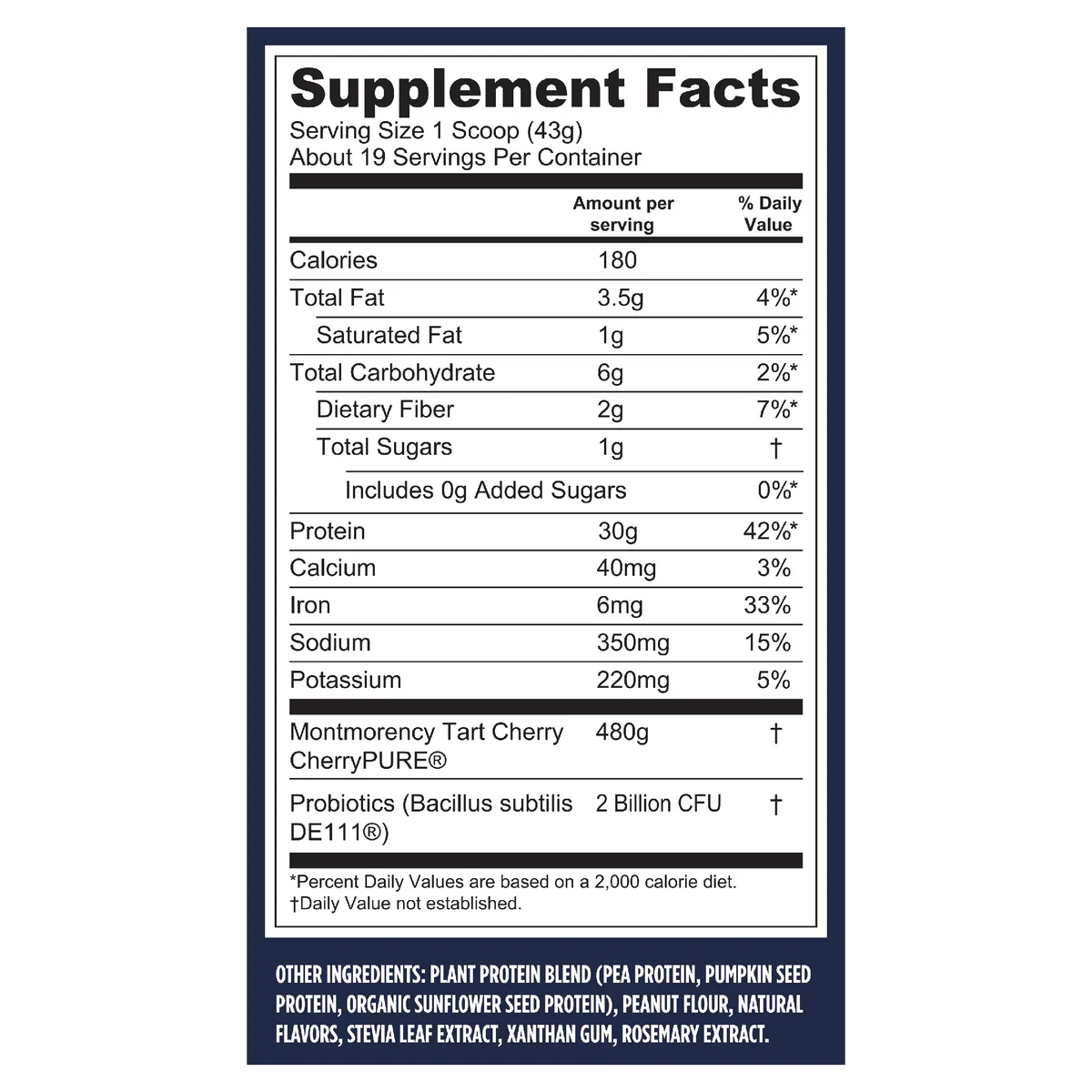 Sports Performance Mocha - Image 2