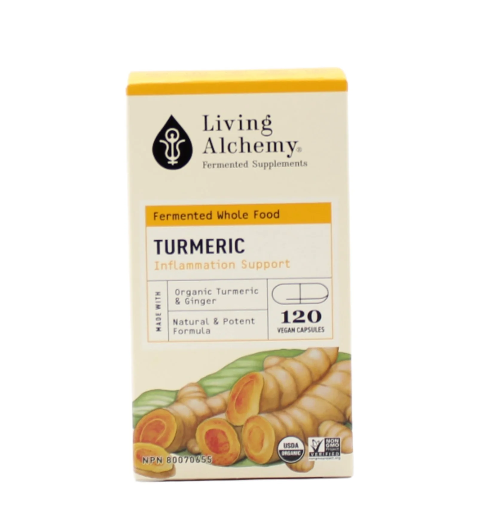 Turmeric Alive