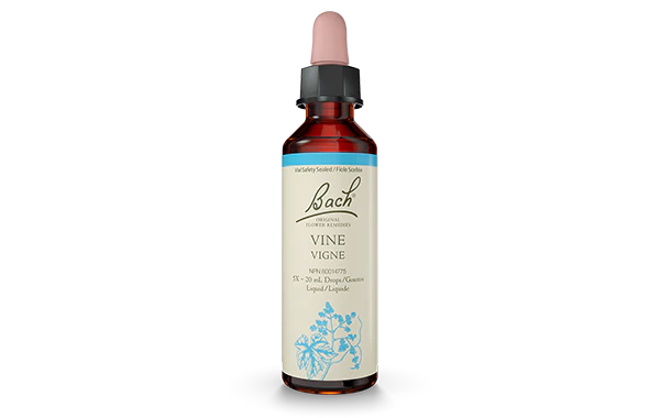 Vine Essences
